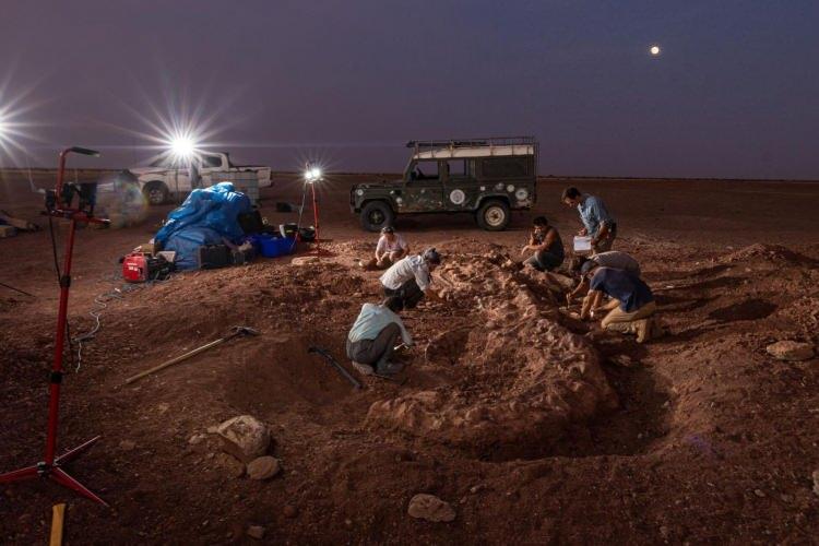 <p><span style="color:#B22222"><strong>Tenere bölgesi Nijer</strong></span></p>
<p><strong>Sahra'da, Kaşif Paul Sereno liderliğindeki bir paleontolog ekibi bir sauropod iskeleti kazıyor. Chicago Üniversitesi'ne gönderildikten sonra keşif gezisinin bulguları temizlenecek, incelenecek ve daha sonra Nijer'e iade edilecek.</strong></p>
<p><span style="color:#B22222"><strong>FOTOĞRAF: KEITH LADZINSKI</strong></span></p>