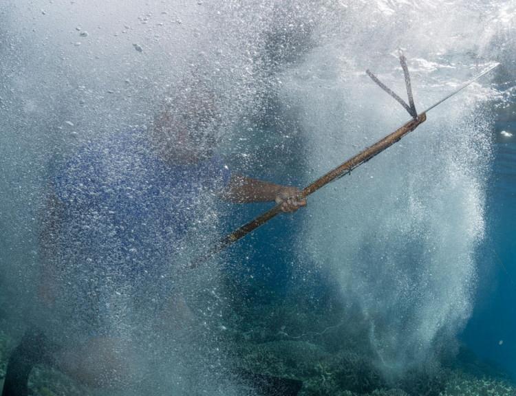 <p><span style="color:#B22222"><strong>Helen Resifi, Palau</strong></span></p>

<p><strong>Brian Fidiiy, ev yapımı zıpkınıyla yiyecek aramak için tekneden Helen Resifi lagününe atlıyor. Fidiiy ve tamamı yerli halktan olan Helen Resifi korucuları Palau'nun biyolojik çeşitlilik açısından en zengin resifini yasadışı ticari balıkçılıktan koruyor.</strong></p>

<p><span style="color:#B22222"><strong>FOTOĞRAF: KILIII YÜYAN</strong></span></p>
