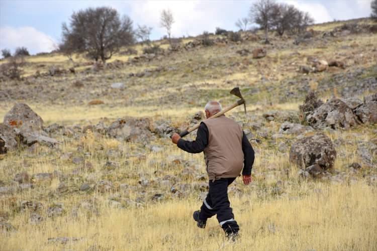 <p>Kışın zorluğu olsa da hayatından şikayetçi olmadığını vurgulayan Salman, şöyle konuştu:</p>

<p> </p>

<p>"Kış hazırlıklarımı yapıyorum. Yakacak ve ekmek sıkıntısı oluyor. Çok kar yağdığı zaman motosikletimle dışarı çıkamıyorum. Köyümüze 15 kilometre uzaklıkta meşe ağaçlarının olduğu bir alan var. Oradaki kurumuş ağaçları baltayla kesiyorum. İple bağladığım odunları sırtımda taşıyarak evime getiriyorum. Kütükleri de motosikletimle getiriyorum. Onları burada sobada yanacak şekilde kesiyor, kömürlüğe yerleştiriyorum. Yaş ağaçlara dokunmuyorum. Kurumuş olanları kesiyorum."</p>
