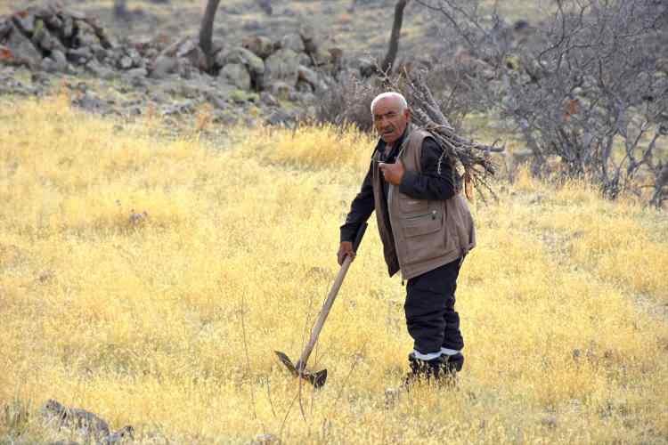 <p>Salman, devletin kömür yardımında da bulunduğunu, bu kışı daha rahat geçireceğini kaydetti.</p>

<p> </p>
