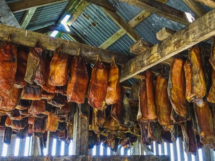 <p>Taste Atlas'ın dünyanın en kötü yemekleri listesinde ilk sıranın sahibi İzlanda'dan tütsülü köpek balığı eti 'hakarl' oldu.</p>
<p> </p>