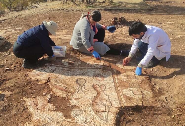 <p>Kazıda, Antik Roma'da merkezi bir yapı ve bu yapı etrafına yayılmış daha küçük ek yapıların oluşturduğu duvarlarla çevrili kırsal yerleşim yeri olan Villa rusticaya (çiftlik, kır evi) ait mozaik taban döşemeleri ortaya çıkarıldı.</p>
