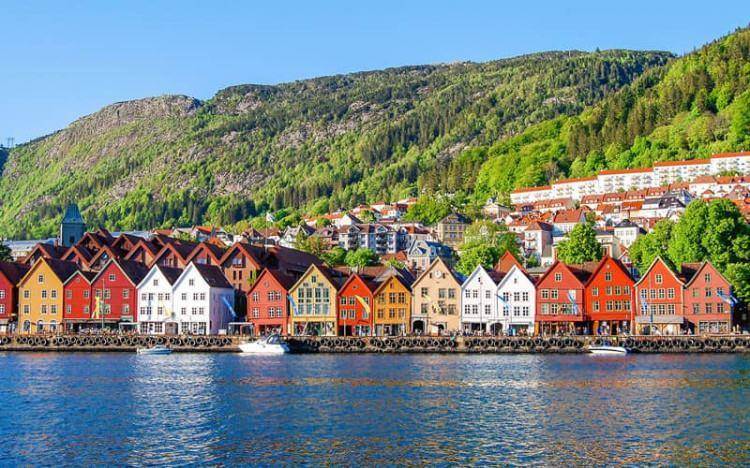 <p>Norveç </p>
