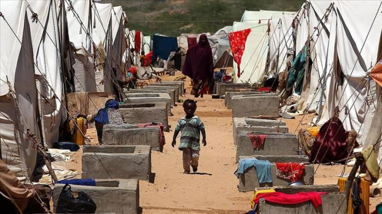 <p>Somali</p>
