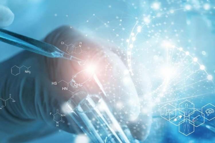 <p>Harvard Tıp Fakültesi ile ABD'li biyoteknoloji firması eGenesis'in yaptığı ortak çalışmada bilim insanları, Yucatan minyatür domuzundan aldıkları genetiği değiştirilmiş böbreği naklettikleri 21 makat maymununun 2 yıldan uzun yaşamasıyla, türler arası organ naklinde en uzun sağ kalım sürelerinden birine ulaştı.</p>