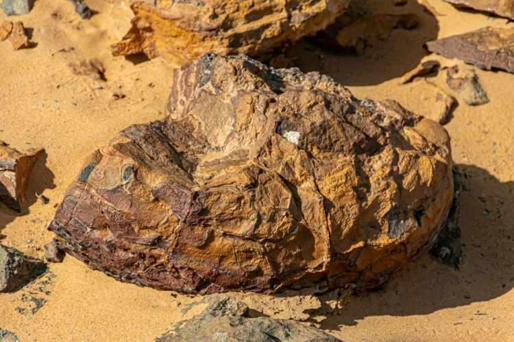 <p>İngiltere'de Cardiff Üniversitesinin bünyesindeki İngiltere Demans Araştırma Enstitüsünden araştırmacılar, katılımcıların kullandıkları akıllı saatlerden sağlanan verilerin, Parkinson hastalığının 7 yıl öncesine kadar teşhisinde yardımcı olabileceğini tespit etti.</p>
<p> </p>
<p><strong>KAYNAK: AA</strong></p>