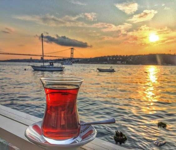 <p>Kırmızı renklerin hakim olduğu tabaklarda, aslında bu renklerin çayın lezzeti ve tazeliği hakkında ipucu verdiği belirtildi.</p>