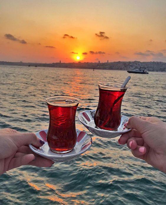 <p>Kırmızı renklerin çay tabağında tavşan kanı olarak adlandırılmasının temel nedeni, çayın geldiğinde bu renklerin çayın acı ve bayat olduğunu göstermemesi içindir. </p>