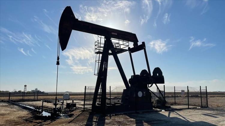 <p><strong>“Günde 1 ton petrol denizin yüzeyine çıkıyor”</strong></p>
<p> </p>