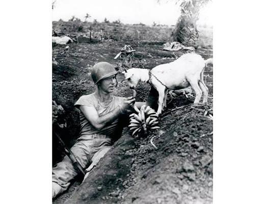 <p>Saipan Savaşı sırasında çekilmiş bir kare, 1944</p>
<p> </p>