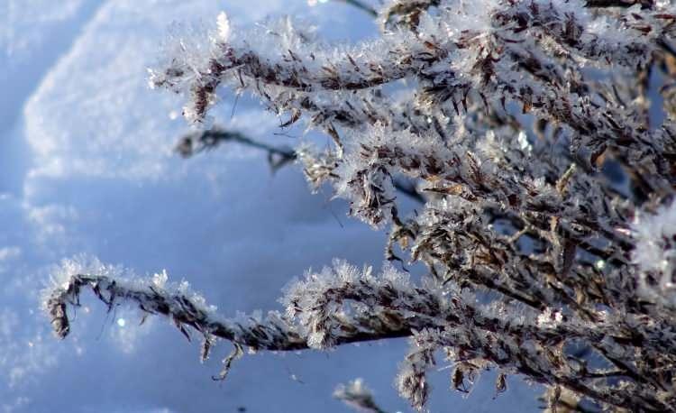 <p>Erzurum'da hava sıcaklığı -7'lere kada düştü. </p>