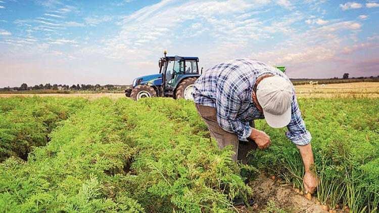 <p><strong>İnşaat, çiftçilik, balıkçılık ve ormancılık gibi düşük ve orta vasıflı işlerin en fazla risk altında olan işler olduğu belirtilen raporda, yüksek beceri gerektiren mesleklerin de en azından otomasyon riski altında olduğuna işaret edildi.</strong></p>

<p> </p>
