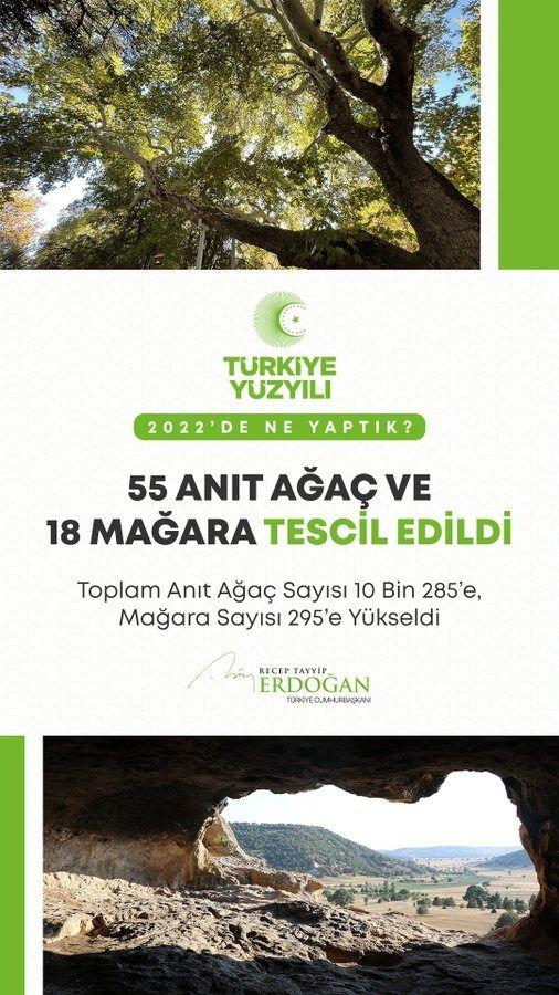 <p>Yeni tescillerle birlikte toplam anıt ağaç sayımızı 10 bin 285’e ulaştırdık.</p>