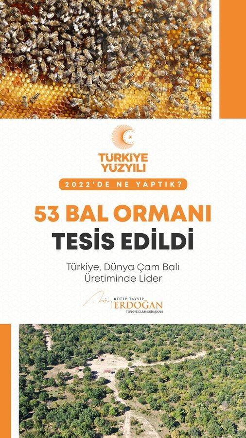 <p>53 bal ormanı tesis ettik.</p>
