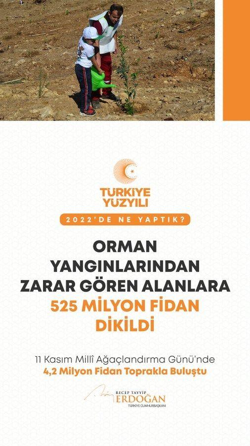 <p>Yangınlardan zarar g&ouml;ren ormanlık alanlara 525 milyon fidan diktik.</p>
