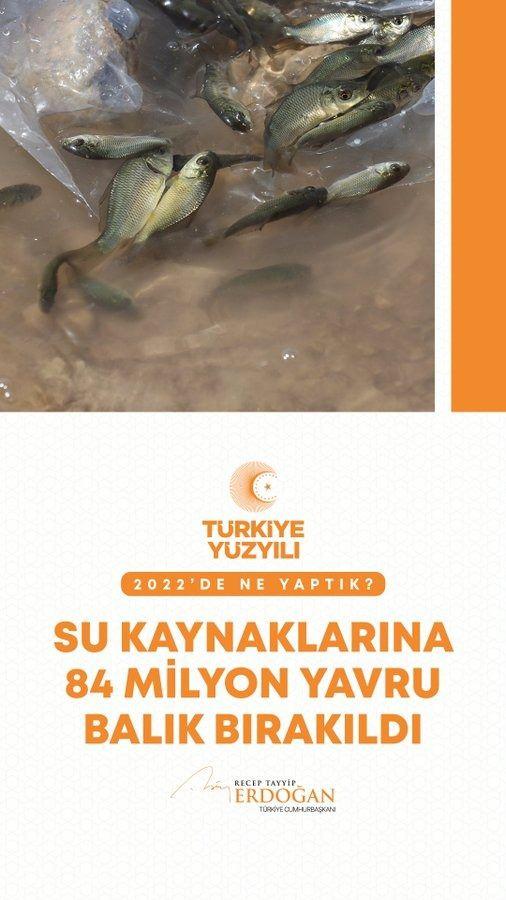 <p>Canlı pop&uuml;lasyonunu korumak ve artırmak i&ccedil;in su kaynaklarımıza 84 milyon yavru balık bıraktık.</p>

