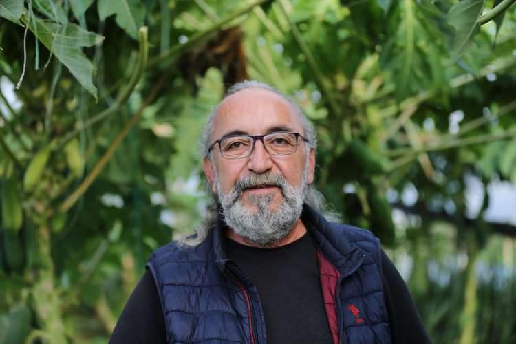 <p>Önce iki tür papaya denediklerini ve istenilen ürünü alamadıklarını dile getiren Uysal, şunları kaydetti:</p>
<p> </p>
<p>"İki defa seradaki tüm ürünleri sökmek zorunda kaldık. Tayland'dan tohum getirip, profesyonel fidecilerde çimlendirdik. Yeni denediğimiz türde çok başarılı olduk. Bu ürün çok ciddi talep görüyor. Yılın 12 ayı meyve veriyor, getirisi çok yüksek. Papayanın anavatanı Güney Amerika'da papaya Hindistan cevizi gibi yuvarlaktır. Ancak bizden talep edilen uzun cinsiydi. Daha çok salatada kullanıyorlar. Yeşil olarak satıyoruz. Örtü altında olması kışın soğuktan koruyor. Papaya, doluyu, aşırı yağmuru sevmez, dibinin çamur olmaması gerekiyor. Çamur olduğunda kökten çabuk çürüyor, ağaç ölüyor. Onun için bakımı özenle yapılmalı."</p>