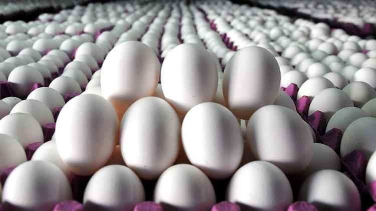 <p>Dünya üretiminde dokuzuncu sırada olan Türkiye’nin payı ise yüzde 1,3 seviyesinde. Toplam yumurta üreten işletme sayısı ise 468. Bu işletmelerde doğrudan yaklaşık 7 bin kişi istihdam edilirken bu rakam dolaylı olarak 35 bin kişiyi buluyor.</p>
<p></p>