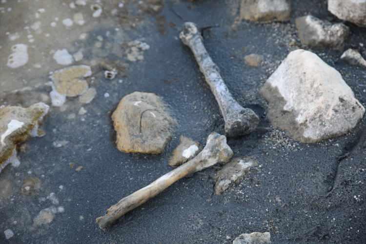 <p>Bölgede ana kayaya açılmış mezarlıkların da gün yüzüne çıktığını anlatan Çavuşoğlu, "Ana kayaya lahit şeklinde açılmış küçük ve büyük yuvaların içine insanların gömüldüğünü görmüş olduk. Urartu dönemine ait ilk olarak karşımıza çıkan bir uygulama. Bu da bize bulunduğumuz alanın, kaya mezarları ve gömü şekilleriyle dini ritüellerin yapıldığı bir birim olduğunu, Urartular döneminde açık hava tapınım alanı olarak kullanıldığını gösteriyor." dedi.</p>