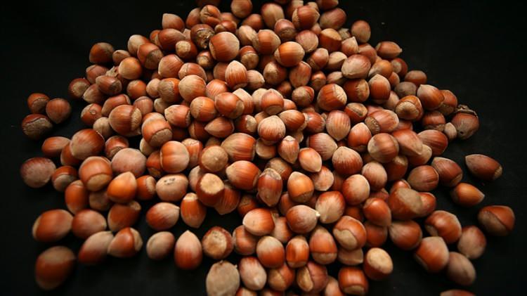 <p>GİRESUN<br />
Fındık</p>
