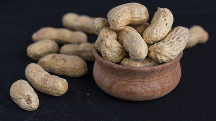 <p>OSMANİYE<br />
Yer Fıstığı</p>
