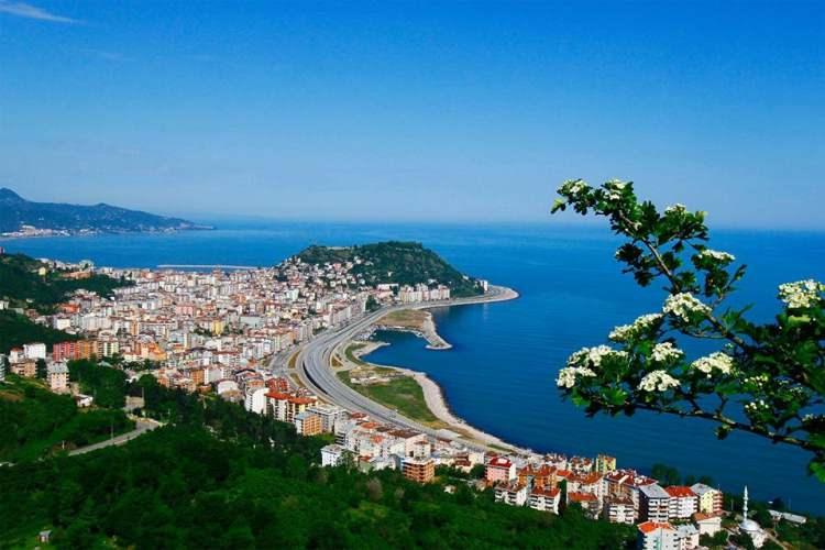 <p><span style="color:#B22222"><strong>GİRESUN</strong></span></p>

<p><strong>Kadınlarda ortalama yaşam süresi: 83,5</strong></p>

<p><strong>Erkeklerde ortalama yaşam süresi: 76,6</strong></p>

<p><strong>Ortalama: 80,0</strong></p>
