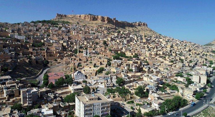 <p><strong>54-MARDİN</strong></p>
<p>103.083</p>