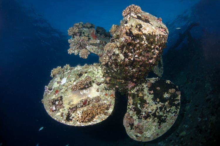 <p>Dalış, Ceylan'ın yanı sıra arkadaşları Scuba-Bay ekibi olarak Yalın Tolga Yılmaz, Murat Kulakaç, Mesut Bozkurt ve Mısırlı rehberler eşliğinde gerçekleşti.</p>

<p> </p>
