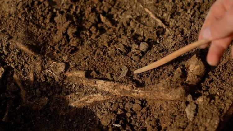 <p>"Oldukça yıpranmış dişler bulduk. Bu, dişlerini alet olarak kullandıklarını gösteriyor olabilir. Belki de tekstil, deri ya da sepet yapımında ön dişlerini kullanıyorlardı".</p>