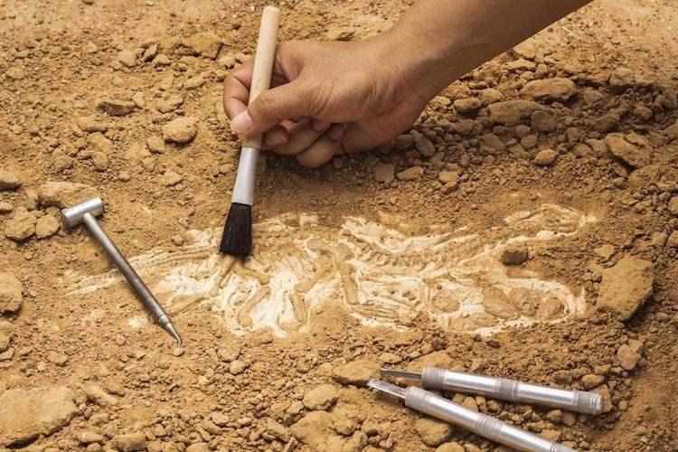 <p>Mezarlığın kullanıldığı kesin tarihleri belirlemek için daha fazla araştırma gerekiyor ve DNA analizleri iskeletler hakkında bilgi sahibi olmamızı sağlayacak.</p>
<p> </p>
<p>Mezarlık, henüz çok az şey bilinen dönemle ilgili bireysel ve toplumsal konulara ışık tutacak.</p>
<p> </p>
<p>Ancak burada yaşayanlar ve ölenler hakkındaki soruları yanıtlamak uzun süre alabilir.</p>