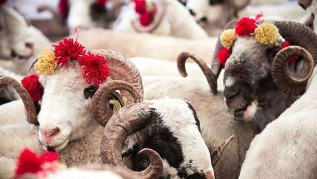 <p><strong>2024 yılında Kurban Bayramı tatili 4 gün olacak.</strong></p>
<p><strong>Kurban Bayramı Arefe (Öğleden Sonra): 15 Haziran 2024 Cumartesi başlayacak, 19 Haziran 2024 Çarşamba günü sona erecek.</strong></p>