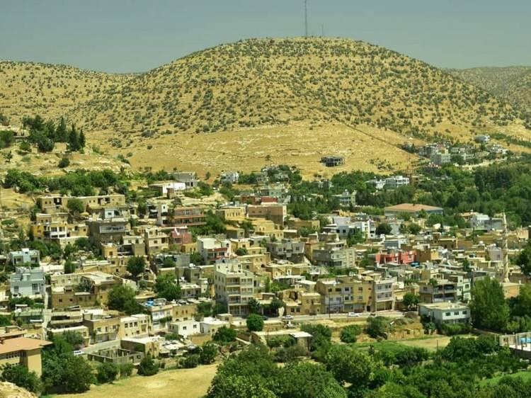 <p><strong>NUSAYBİN</strong></p>
