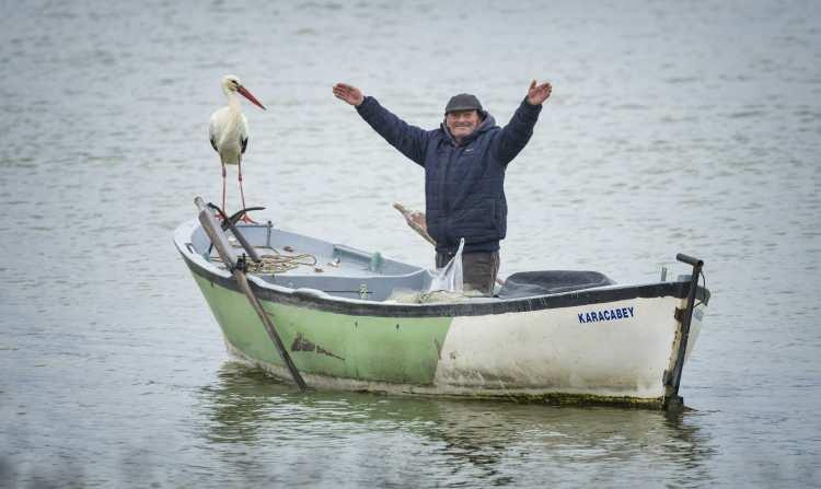 <p> Bursa’nın Karacabey ilçesinde balıkçı Adem Yılmaz ile kurduğu "dostluk hikayesi" ile tanınan leylek "Yaren", 12'nci yılda da göç mevsiminde Eskikaraağaç'a gelerek Yılmaz'ın kayığına kondu.</p>
