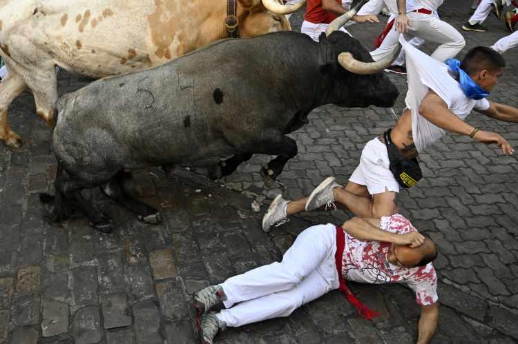 <p> İspanya’nın Pamplona kentindeki San Fermin Festivali, insanlarla boğaların sokakta koştukları, ülkenin dünya çapında en ünlü kültürel etkinliklerinden. Festivalde bazı katılımcılar boğa darbelerinden kaçamıyor.</p>
