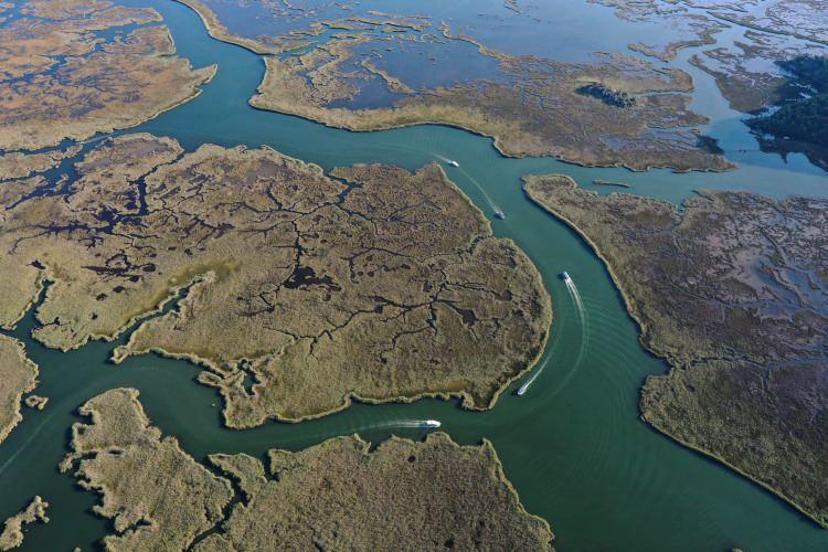 <p> Mavi yengeçler, Muğla’nın Ortaca ilçesinin Dalyan Mahallesi'ndeki kanalda ve civardaki göllerde yaşıyor. Tekne turlarına katılan turistlerin de ilgisini çeken yengeçler, dalyanlardaki "kuzuluk" adı verilen kafeslerle yakalanıyor.</p>
