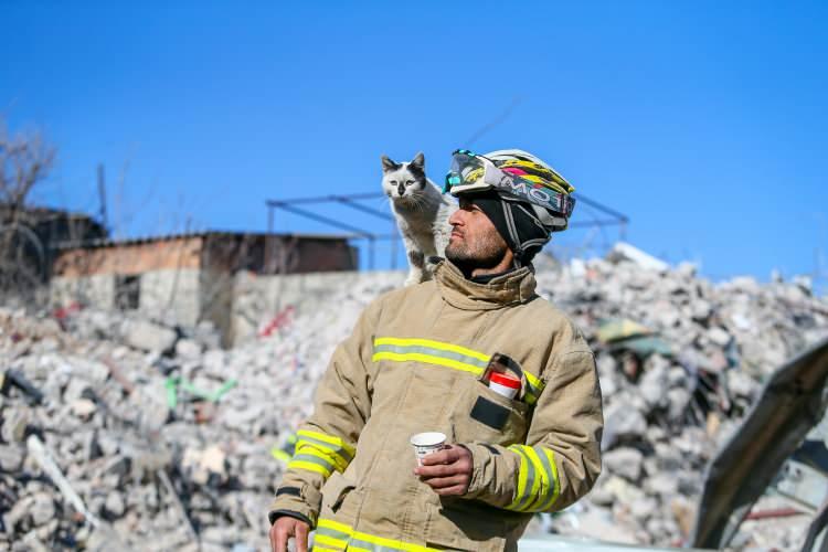 <p>&nbsp;"Asrın felaketi" olarak nitelendirilen, 6 Şubat&rsquo;taki Kahramanmaraş merkezli depremler sonrası &ccedil;ok sayıda binanın yıkıldığı Nurdağı&rsquo;nda, arama kurtarma &ccedil;alışması y&uuml;r&uuml;ten Mardin İtfaiyesi ekibinin, bir enkazdan &ccedil;ıkardığı ve ismini "Enkaz" koyduğu kedi, ekibin can dostu oldu. Ekipte yer alan 33 yaşındaki Ali &Ccedil;akas, dinlenmeye ge&ccedil;tiği anlarda kediyle yakından ilgilendi.</p>
