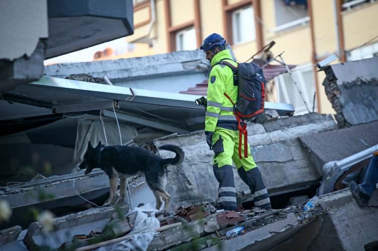 <p>Kahramanmaraş merkezli depremlerden sonra Hatay'a gelen Macar kurtarma ekipleri, enkaz alanlarında eğitimli k&ouml;peklerle arama ger&ccedil;ekleştirdi.</p>
