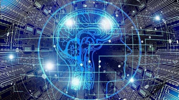<p>Bulgular insanlarda kumar bağımlılığının altında yatan sinirsel mekanizmayı daha iyi anlama fırsatı sağlıyor.</p>
<p> </p>
<p>Kaynak : NTV</p>