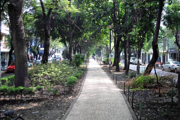 <p>Avenida Ámsterdam, Mexico City, Meksika</p>
