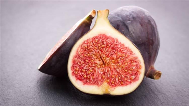 <p><strong>Aydın</strong>:<br />
<br />
Efe, Zeytin, İncir</p>

<p> </p>
