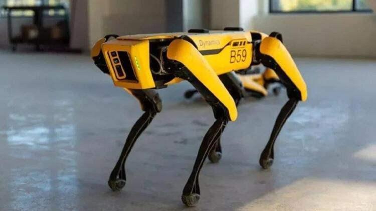 <p>Böylelikle roboköpek, soyut sanat eserleri yaratabilen bir sanatçıya dönüştürüldü.</p>

<p> </p>
