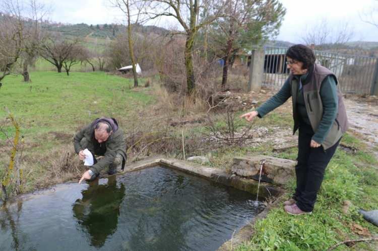 <p>Anadolu şeritli semenderinin, Samsun’dan (Kızılırmak Deltası dahil) batıya doğru tüm Kuzey Anadolu'da yayılış gösteren bir tür olduğu öğrenildi.</p>