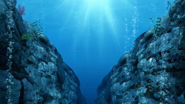 <p>Yapılan araştırmaya göre okyanusun derinliklerine inildiğinde hangi kalıntıların bulunduğu ve hangi canlıların yaşadığı açıklandı. </p>
