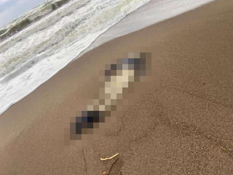 <p>Son günlerde Antalya sahillerinde karaya vuran cesetlerin, bir kaçak göçmen teknesinin batmasından kaynaklanmış olabileceği üzerinde duruluyor.</p>