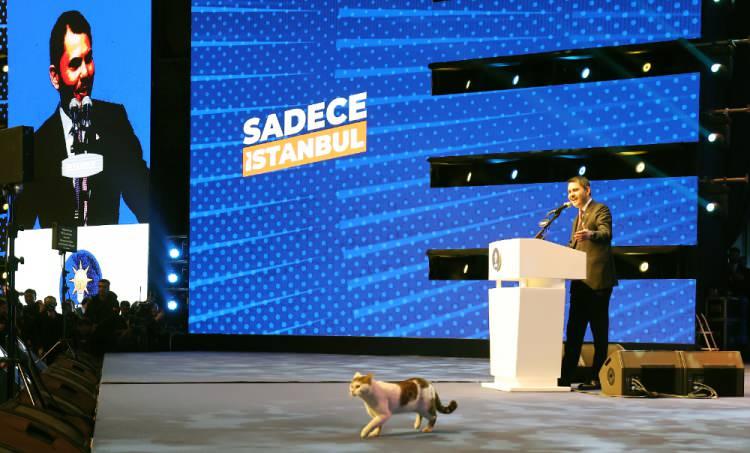<p>"Türkiye Yüzyılı Şehirleri İçin Hazırız Kararlıyız", "Sadece İstanbul", "Yeniden İstanbul" yazıları ile AK Parti ve Türkiye Yüzyılı logoları, sahnedeki led ekranlarda gösterildi.</p>