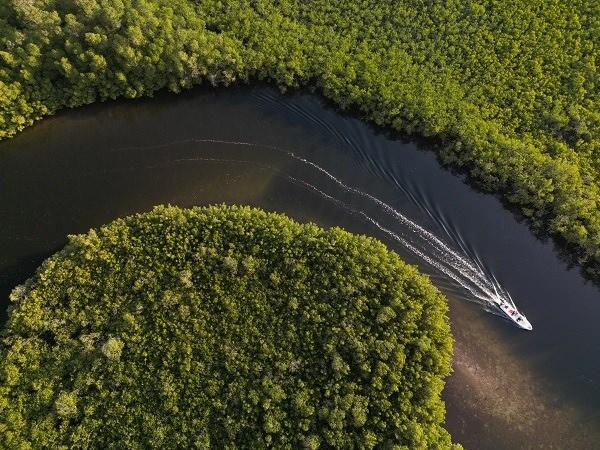 <p><span style="color:#FF0000"><em><strong>İklim değişikliğiyle m&uuml;cadelede &ouml;nemli yere sahip olduğu bilinen ve &ouml;nemli biyo&ccedil;eşitlilik kaynağı olarak değerlendirilen mangrov ormanlarına ev sahipliği yapan Senegal'in batısındaki Saloum Deltası ilgi odağı haline geldi.&nbsp;</strong></em></span></p>
