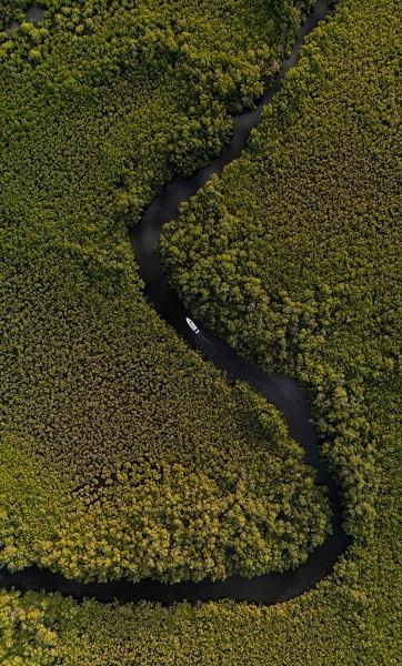 <p><span style="color:#000000"><strong>Amerikalı turist Adams Jones da "Ge&ccedil;en yıl mangrov ormanları arasında dolaşan teknenin havadan &ccedil;ekilmiş fotoğrafını g&ouml;rd&uuml;m ve '&ccedil;ok mistik bir yer, buraya muhakkak gitmeliyim' dedim. Eşimle beraber g&uuml;n doğumunu mangrov ormanlarında karşıladık. G&uuml;neş ışınlarının mangrov ağa&ccedil;ları arasından s&uuml;z&uuml;lerek suya yansıması muazzamdı." şeklinde konuştu.</strong></span></p>
