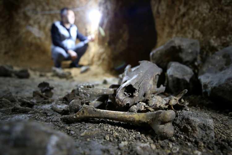 <p>Konya Müzeler Müdürlüğü Arkeoloğu ve Kazı Başkanı Hasan Uğuz, AA muhabirine, yer altı şehrinin geçmişini, elde ettikleri buluntularla henüz 8'inci yüzyıla tarihlendirebildiklerini söyledi.</p>