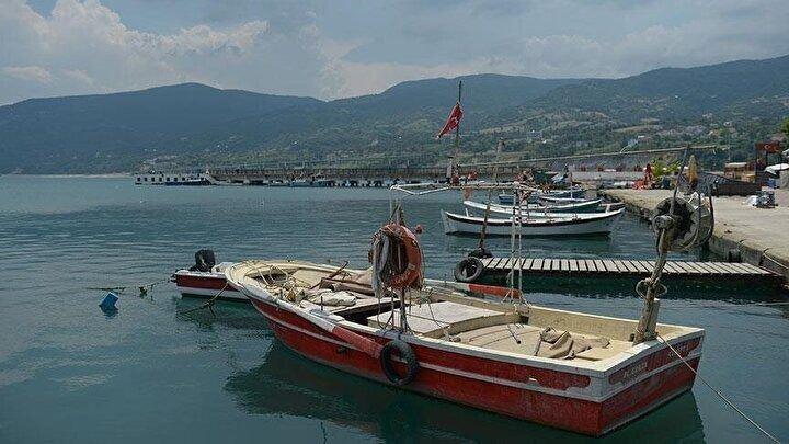 <p>Sinop - Gerze</p>
