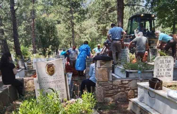 <p><strong>DNA testiyle yazar Gülşah Yemen'in bir kız kardeşi daha oldu. Serpil Yılmaz'ın nüfus kaydının kütük babası Yusuf Yılmaz'dan alınarak Mustafa Yemen'in üzerine kaydedileceği öğrenildi.</strong></p>
<p> </p>